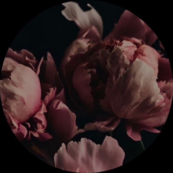 thewilddahlia
